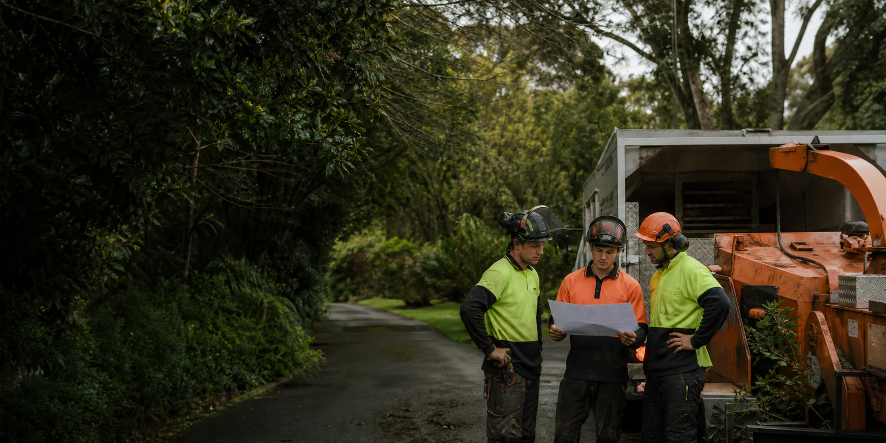 Tree clearing crew and wood chipper at a Hamilton property
